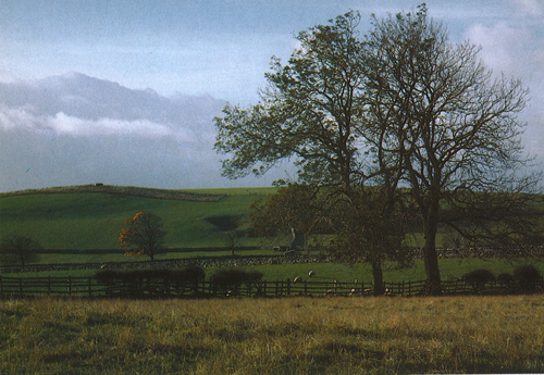 Horrows Hill, Eshton postcards